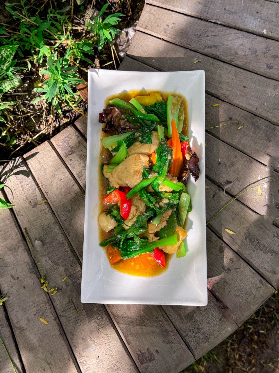 Chicken with oyster sauce